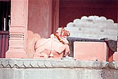 Varanasi - Nandi the doorkeeper of Siva temples 